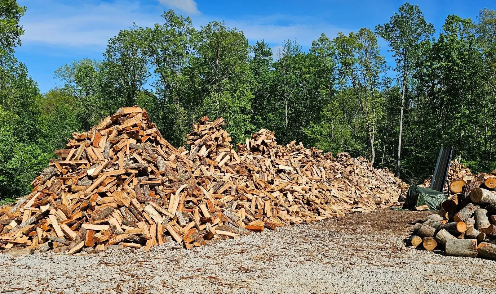 Forest Fuel Pellets